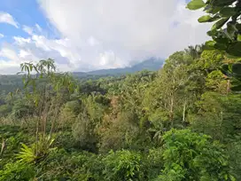 Dijual tanah kebun durian dengan view gunung yang cantik di bali