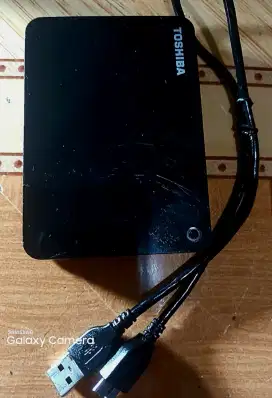 Hardisk 2 TB Eksternal