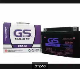 Aki motor kering GS GTZ-5S