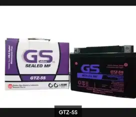 Aki motor kering GS GTZ-5S
