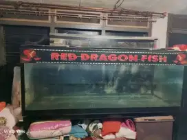 Aquarium bekas ikan