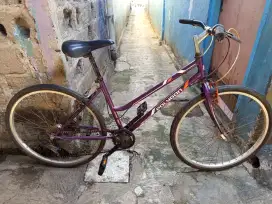 Lady Polygon vintage UK 26