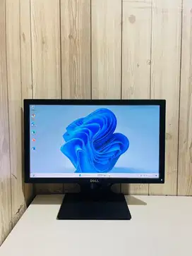 Monitor Desktop Dell E1916H