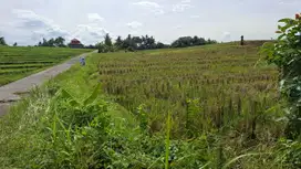 Dijual tanah zona pink luasan kecil dekat pantai