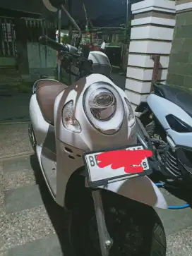 Scoopy 2024 pajak hidup surat lengkap plat kotamadya