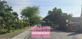 (H) Tanah Pekarangan LD 205 mtr, NOL Jln Raya Propinsi NGAWI, Mantap