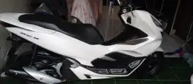 Jual motor PCX THN 2019 warna putih pajak hidup plat sampai 2029