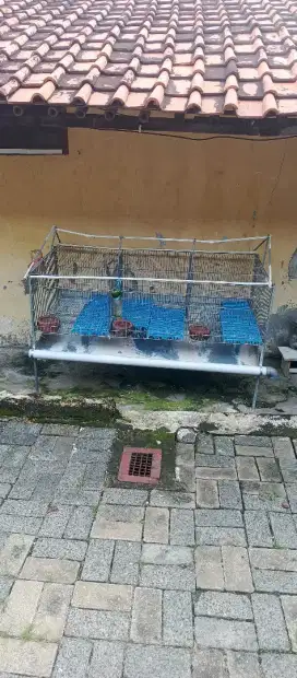 Kandang Kelinci Galvanis Talang 3 Hole dan Bonus Kandang Kayu