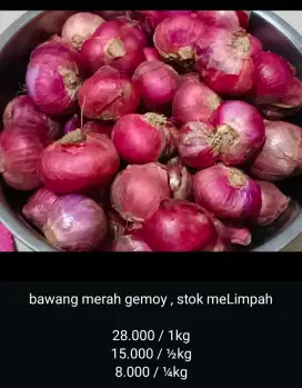 bawang merah jumbo