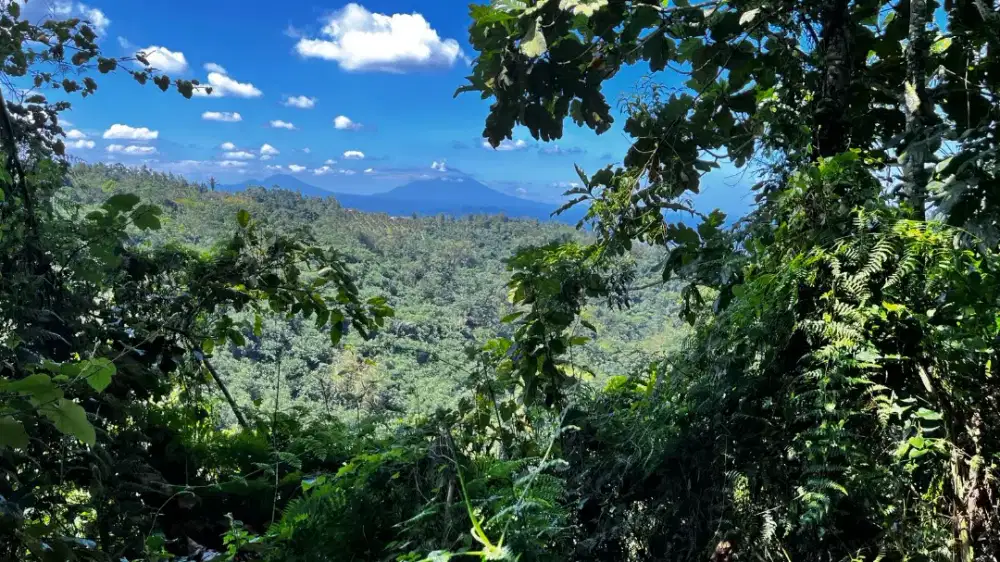 Dijual Tanah Isi Mata Air View Lembah Gunung Dan Laut Yang Exotik