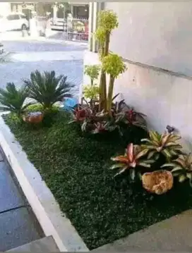 Spesialis pembuat Taman dan kolam ikan koi