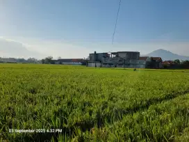 Dijual sebidang tanah sawah 756m²