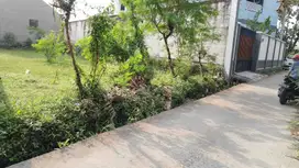 Tanah Pekarangan Strategis Dekat Kampus UMY Yogyakarta TP 114