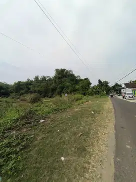 TANAH PADAT SIAP BANGUN  SUMBER WONO - BANGSAL  MOJOKERTO