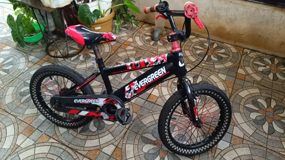Sepeda anak evergreen 16 inch