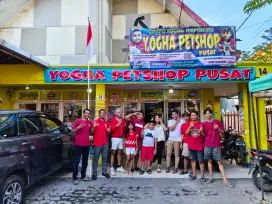 Lowongan Kerjaa di Petshop