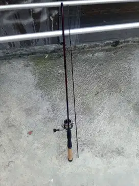 Reel exeler lt 3000 cxh&joran custom scorpion ev bunglon 180