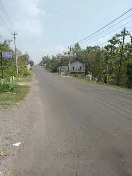 Tanah Pekarangan Mangku Jalan Utama Sentolo Kulonprogo TP 116