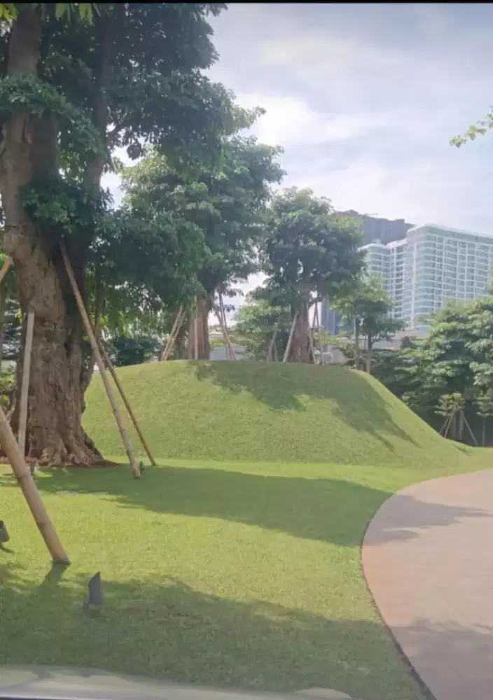 Lanscafe and maintenance