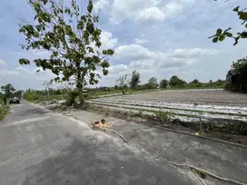 Tanah Dijual Jogja: Kampus UII, 2 Jt-an, SHMP