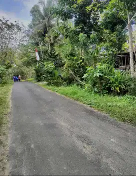 JUAL TANAH DI GIRIPENI WATES KULONPROGO