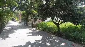 Tanah Tengah kota jl Arifin Ahmad dekat belakang masjid Fatimah