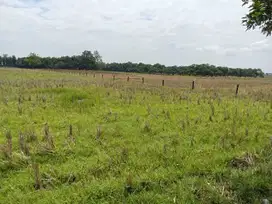 Du Jual Tanah Zona Industri Di Cibogo Subang Jawa Barat