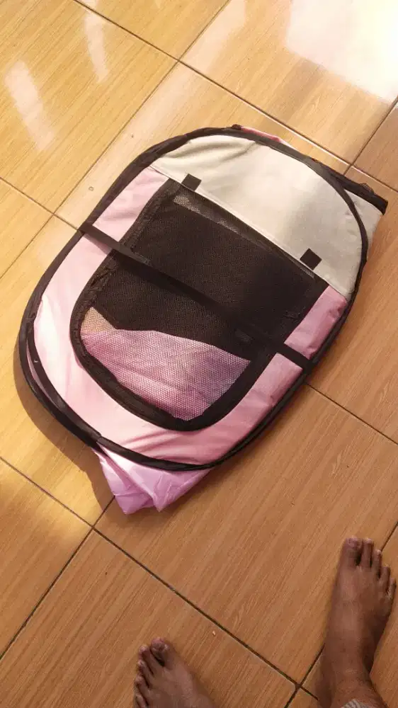 Kandang kucing lipat