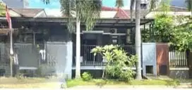 Rumah Nyaman Baru Renovasi Cluster Aralia Harapan Indah Bks
