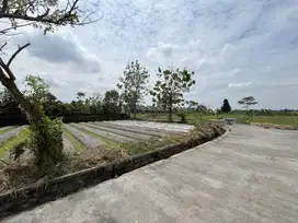 Tanah Pinggir Jalan di Jogja: Cocok Usaha, Hunian, Vila