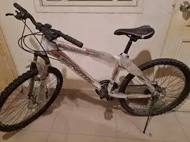 Sepeda dewasa baru