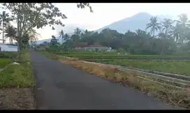 Di jual sebidang tanah desa sangkanurip kec cigandamekar Kuningan jbr