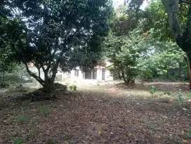 Dijual Tanah Dekat Raffles Hills Cibubur Harga Nego