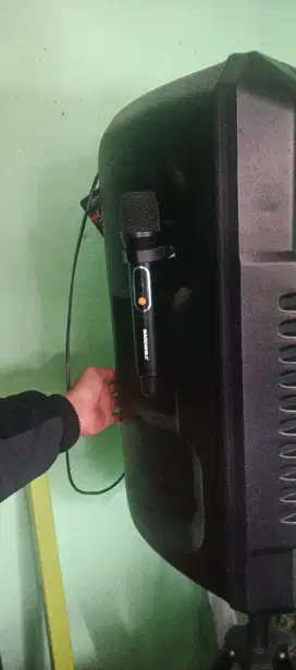 Speaker hardwell portabel