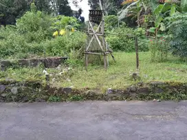 Dijual Tanah Pekarangan Murah Dekat Pasar Jambon Ngemplak