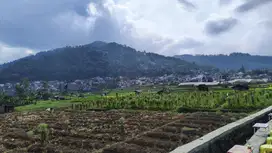 Tanah Kosan Samping Uin 3 malang income melejit