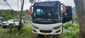 Bus pariwisata murah