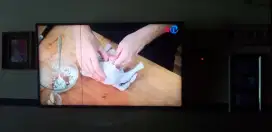 Tv LG SmartTv50inchi