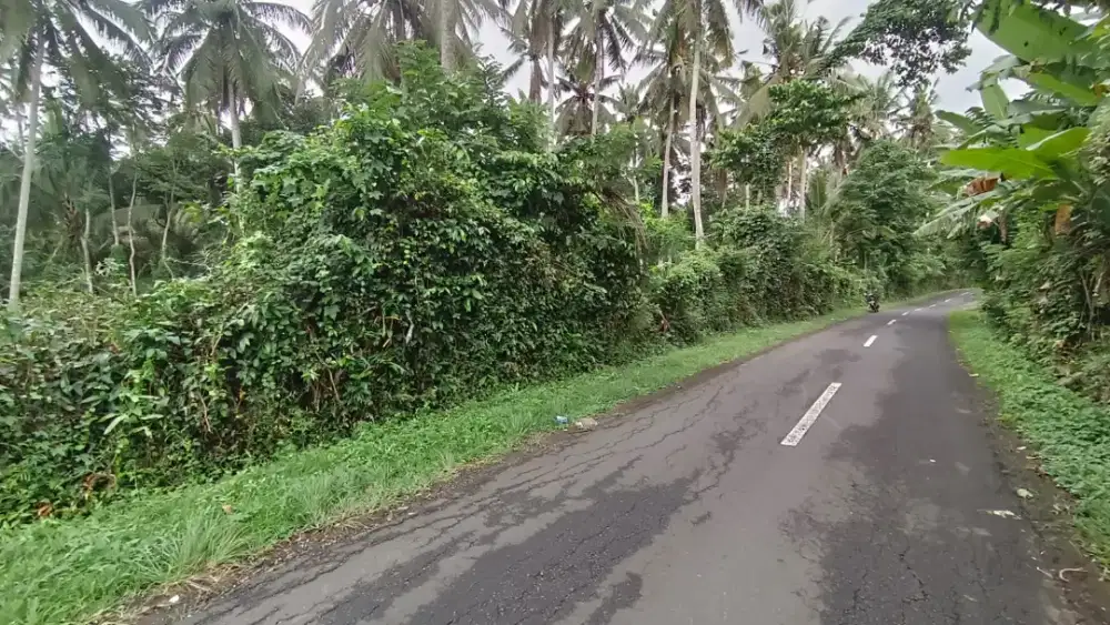Dijual Tanah Strategis Zona Kuning Di Tabanan Bali