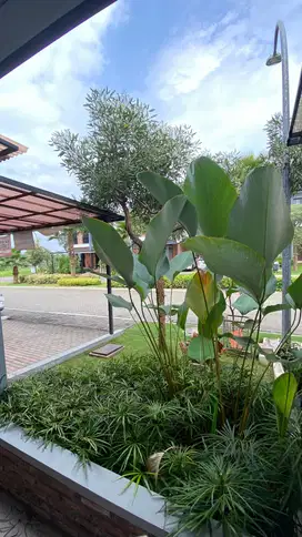 Dijual Rumah di Kota Baru Parahyangan Tatar Lokacitra Bandung