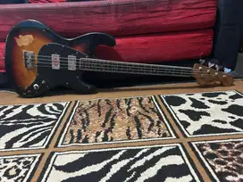 Bass teisco japan