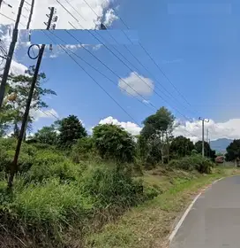 Dijual Tanah di Jalan Raya Bogor-Rangkas Bitung