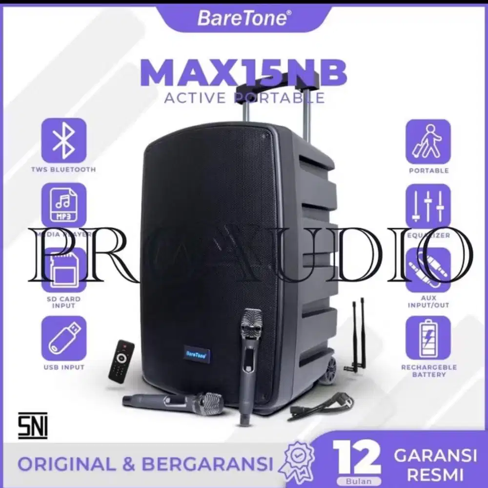 Speaker Bareton