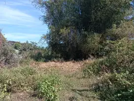 Di Jual Tanah lahan
