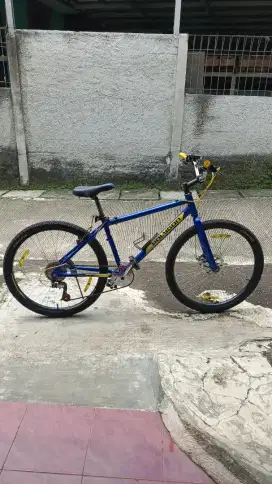 Sepeda Polygon Extrada