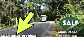 Jual tanah pinggir jalan antar propinsi denpasar gilimanuk di tabanan