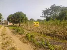 Tanah Murah 300 di Watubelah