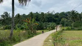 Tanah Sawah Ada Air Mengalir di Pasawahan Dekat Kota Dijual Murah