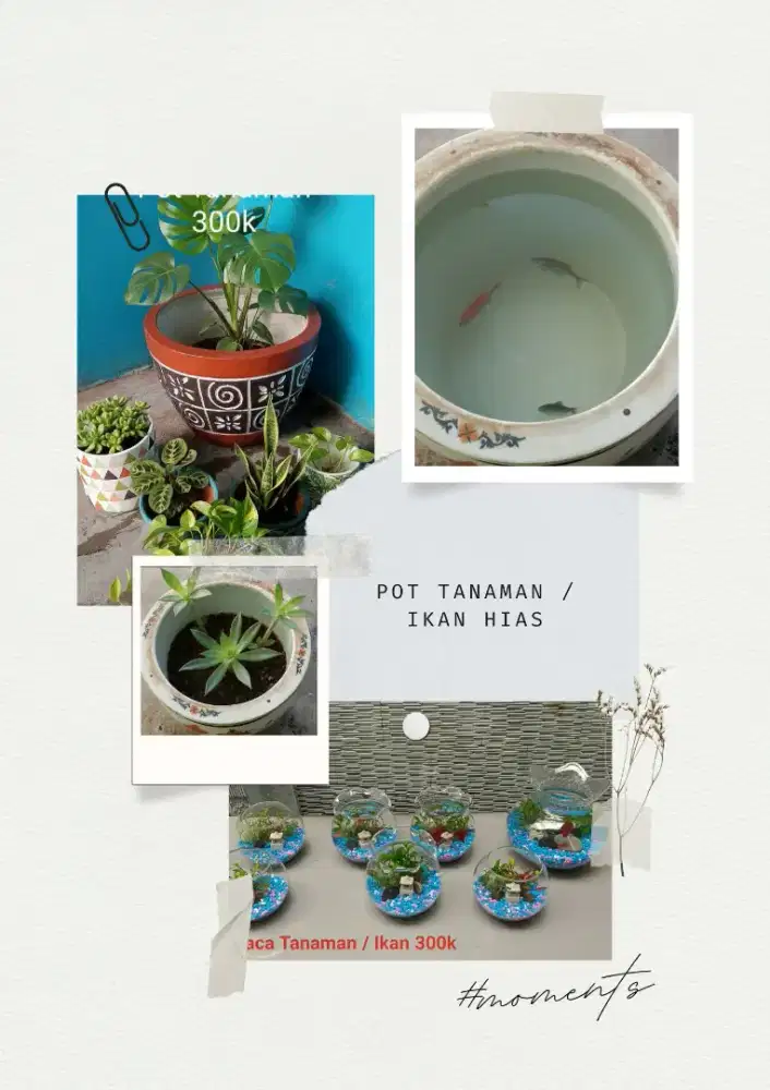 Pot Tempat Tanaman / Ikan Hias Cantik