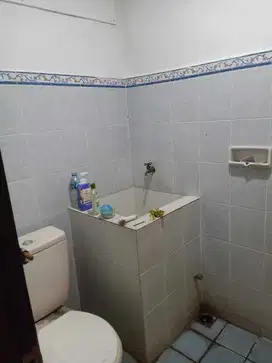 Jual cigadung jalan biologi 18 sayap dago